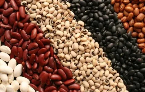 Продам квасолю різних сортів