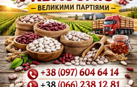 Куплю квасолю великий