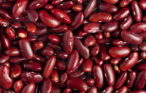 Сортова квасоля: Ліма