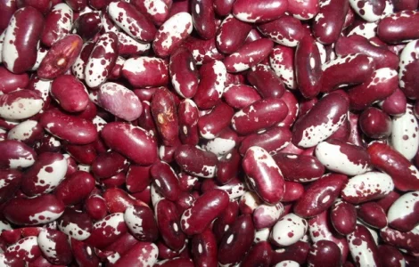 Сортовая фасоль оптом - большой ассортимент