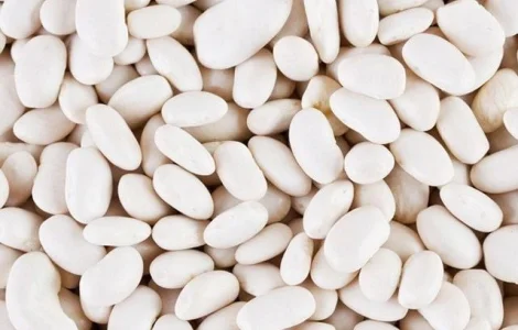 Сортова квасоля від лідера ринку - понад 20 сортів в наявності