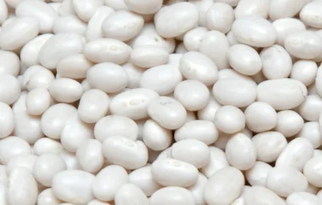 Квасоля різних сортів. Опт. Доставка