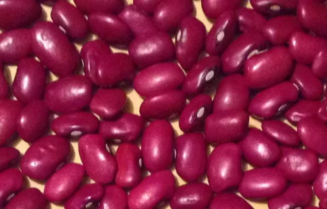 Сортовая фасоль оптом от производителя с доставкой по Украине