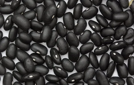 Фасоль с доставкой по Украине