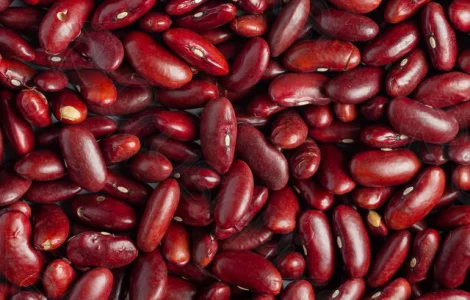 Квасоля гуртом без посередників