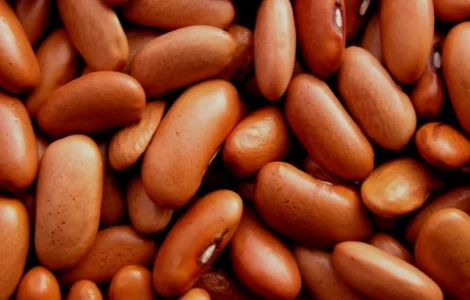 Продажа оптом. Фасоль сортовая