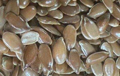 Насіння льону