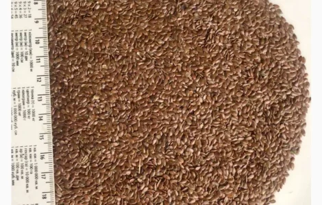 Купуємо льон