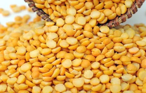 Закупаем горох разных сортов Ф1