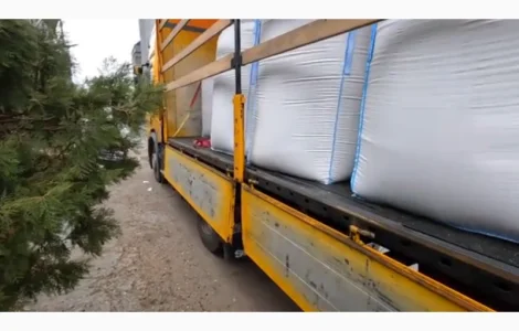 Льон врожаю 2025 року