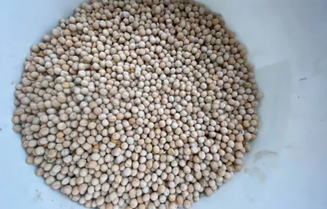 Продается жёлтый горох оптом