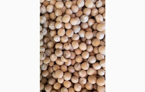 Продам горох жовтий- 500т