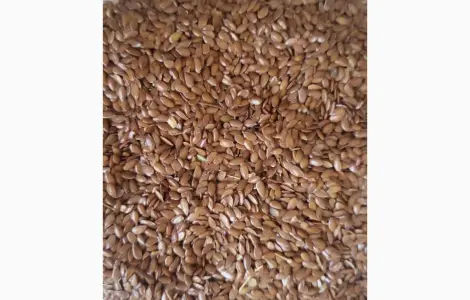 Льон (Flaxseed) на экспорт