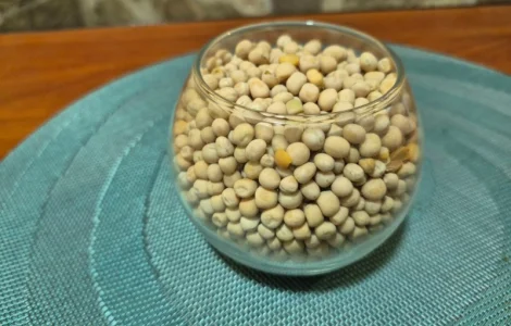 Горох ярий Вернон – продажа від виробника