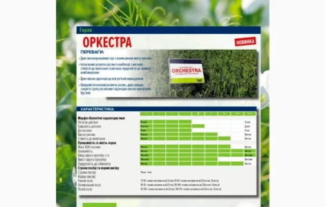 Насіння Горох Жовтий