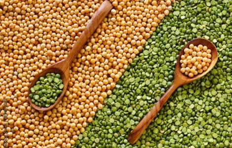 Куплю желтый и зеленый горох