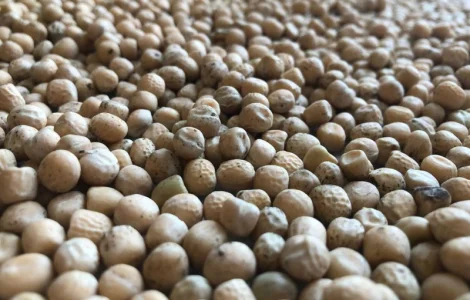 Продается желтый горох оптом