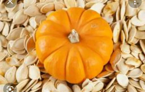 Продам гарбузове насіння