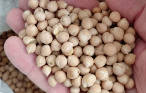 Продам нут не калиброванный