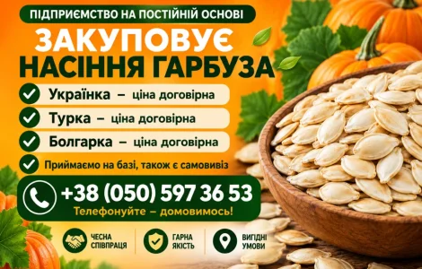 Закупка семян тыквы