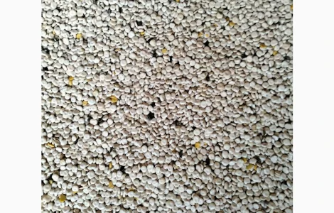 Продам люпин