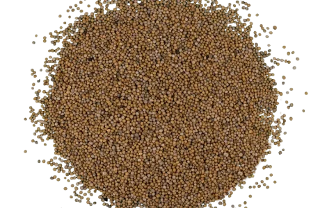 Закуповуємо врожай білої гірчиці