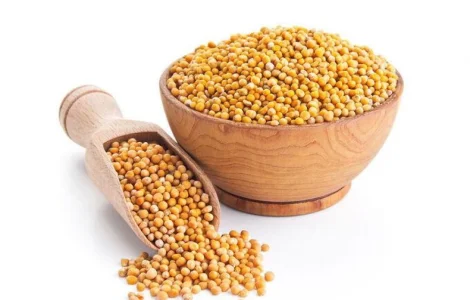 Купую білу гірчицю. Самовивіз із господарства