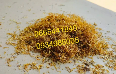 Тютюн опт та роздріб Гавана Дюбек Вірджинія Руно Голд Вінстон Кап Блек Махорка Ксанті