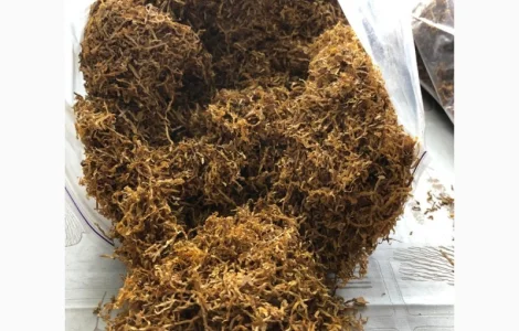 Капітан Блек