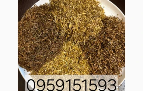 Капитан Блек