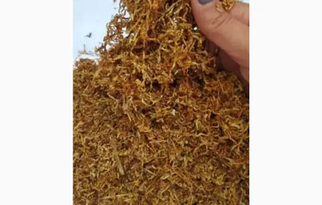 Для гурманов хороший табак без палок и мусора