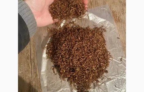 Табак Берли