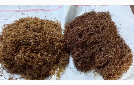 Продам табак