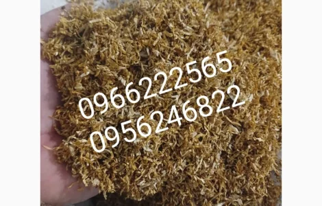 Тютюн вірджинія