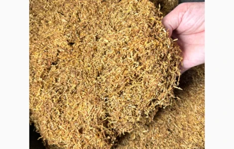 ТЮТЮН ТАБАК на будь-який смак! Вірджинія