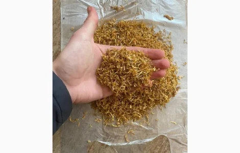 Продаж тютюну Virginia Gold