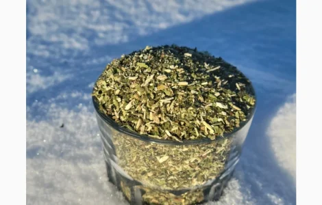 Самосад-махорка-тютюн