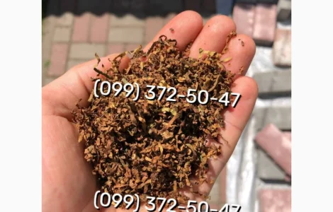 Ароматний та якісний тютюн Вірджинія