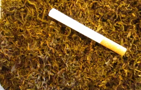 Крепкий табак Берли высокого качества