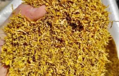 Тютюн високої якості та різних сортів/Відправка кожного дня
