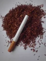 Табак імпорт: Парламент / Кентуккі / Бонд / Вінстон / Мальборо/ Честер