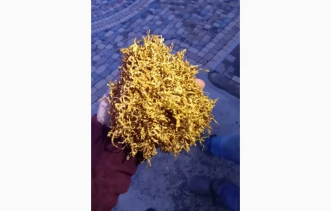 Якісний імпортний Табак. Герцеговина флор