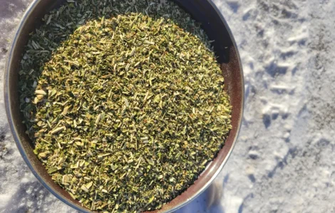 Тютюн домашній