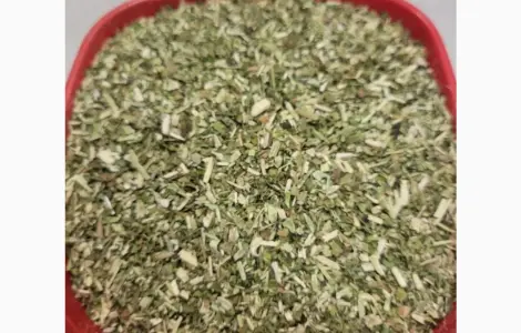Махорка домашня зелена