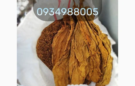 Тютюн Вірджинія / Берлі / Кстанті / Мальбро / Кап Блек / Давідофф / Гільзи / Люльки