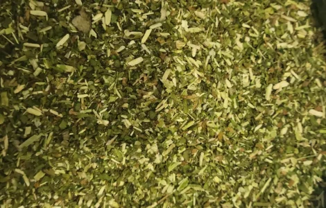 Махорка зелена табак тютюн