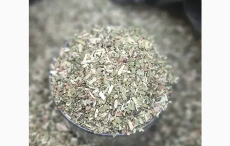 Махорка зелена