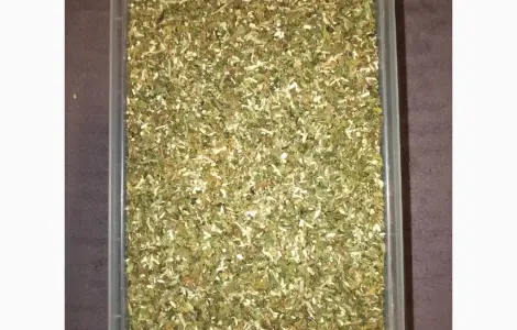 Продам махорку самосад