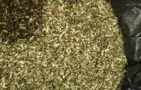 Домашня махорка тютюн табак