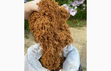 Табак Вирджиния средняя – идеальный баланс вкуса и крепости